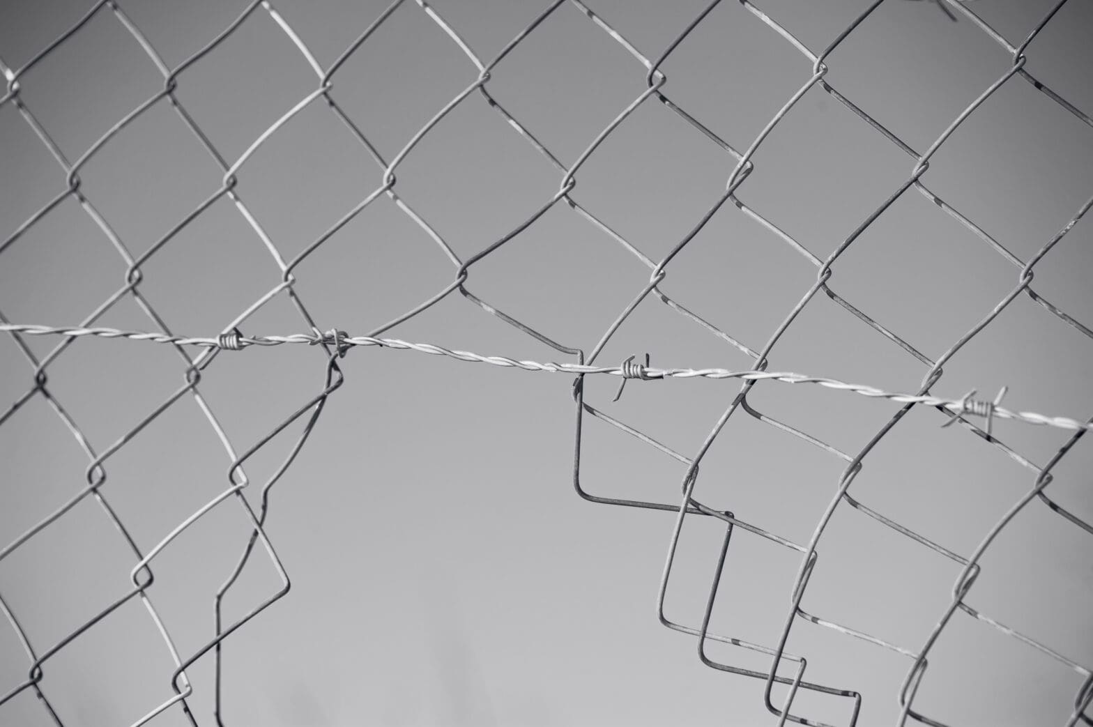 Cut fence with barbed wire